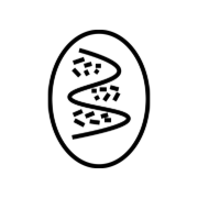 Svelta icon