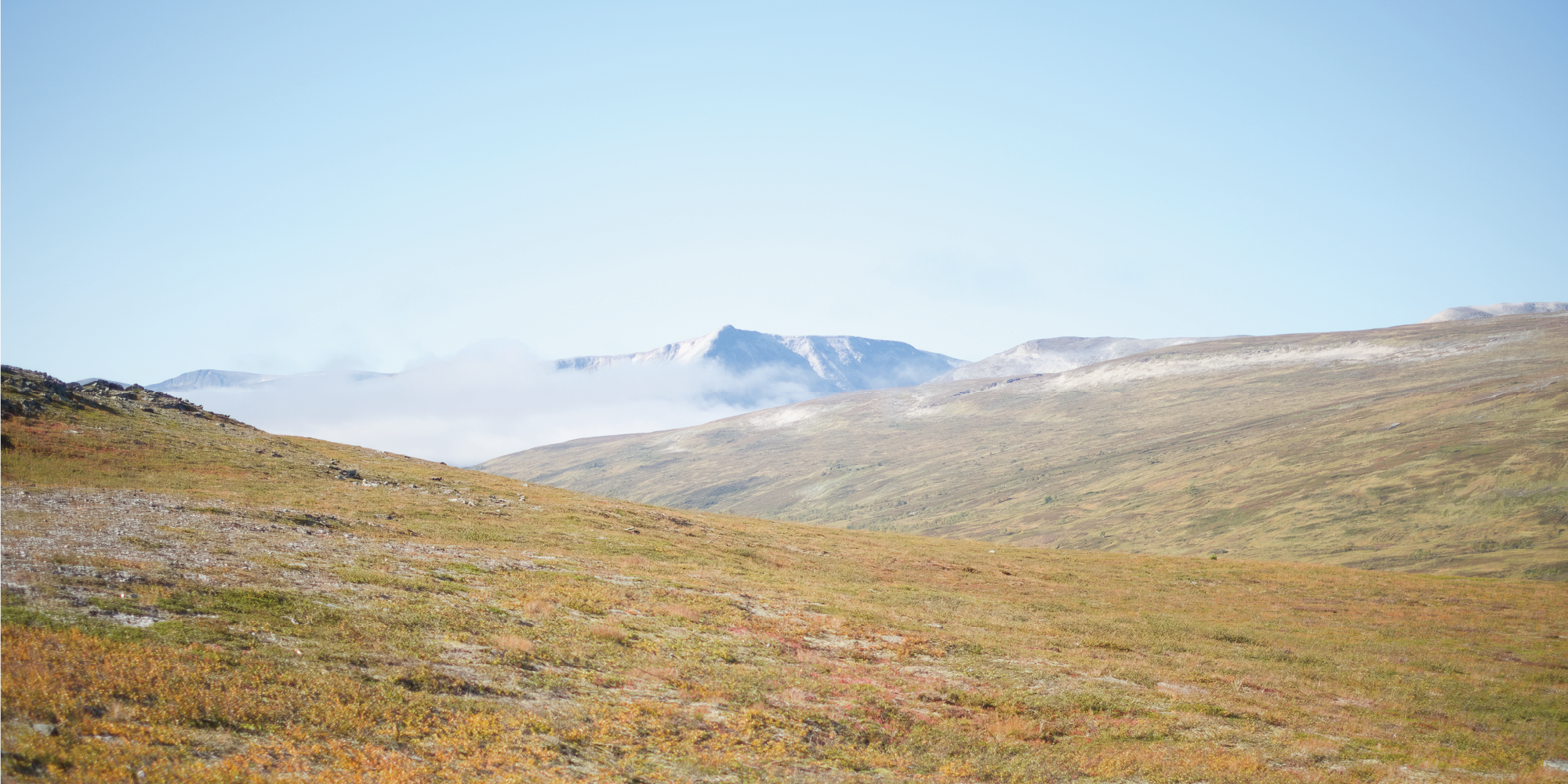 Cover Image for PHOTO: Trekanten in Trollheimen